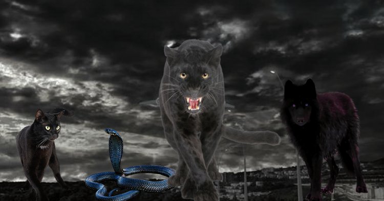 Why does witchcraft rule the world?